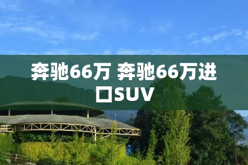 奔驰66万 奔驰66万进口SUV