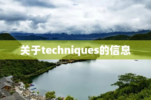 关于techniques的信息 关于techniques的信息