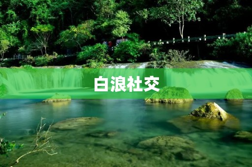 白浪社交：让你的社交体验更加畅快、自由、多元化
