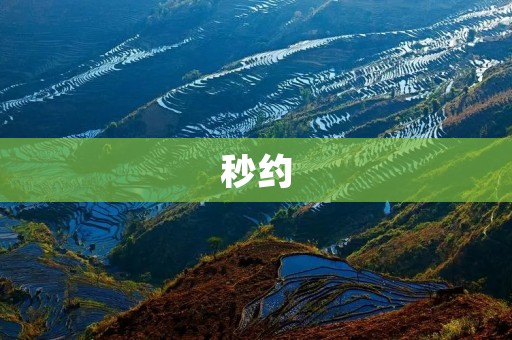 秒约：让你轻松约会的最佳选择