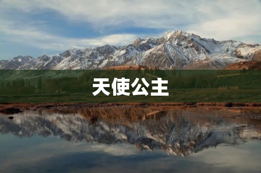 天使公主:神秘而迷人的存在
