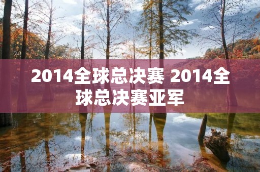 2014全球总决赛 2014全球总决赛亚军