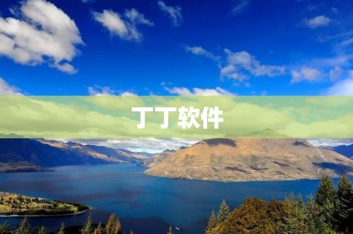 丁丁软件：革新企业管理方式的智能化解决方案