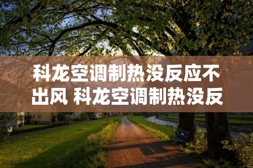 科龙空调制热没反应不出风 科龙空调制热没反应不出风怎么办