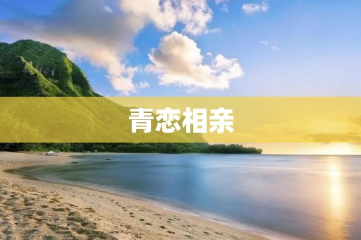 青恋相亲:重拾纯真的爱情之旅 青恋相亲:重拾纯真的爱情之旅