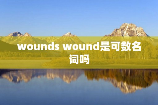 wounds wound是可数名词吗