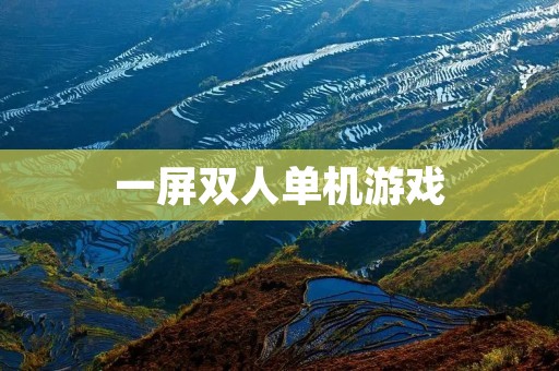 一屏双人单机游戏：挑战好友的反应力和耐力