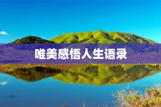 唯美感悟人生语录:用心感悟,品味人生之美 唯美感悟人生语录:用心感悟,品味人生之美