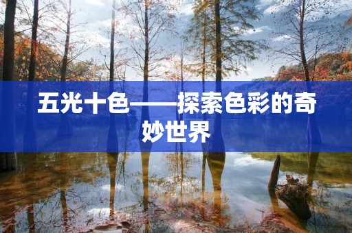 五光十色——探索色彩的奇妙世界