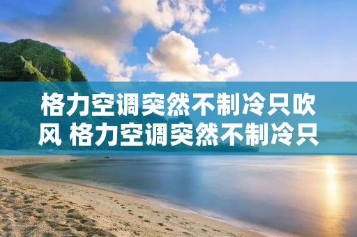 格力空调突然不制冷只吹风 格力空调突然不制冷只吹风怎么回事