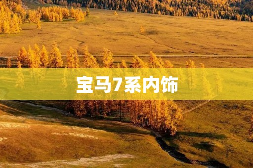 宝马7系内饰:奢华与科技的完美结合 宝马7系内饰:奢华与科技的完美结合