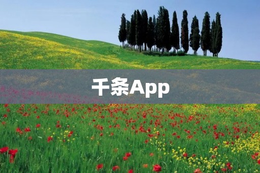 千条App:打开千种可能,畅享千种服务 千条App:打开千种可能,畅享千种服务