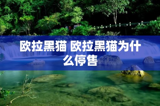 欧拉黑猫 欧拉黑猫为什么停售 欧拉黑猫 欧拉黑猫为什么停售