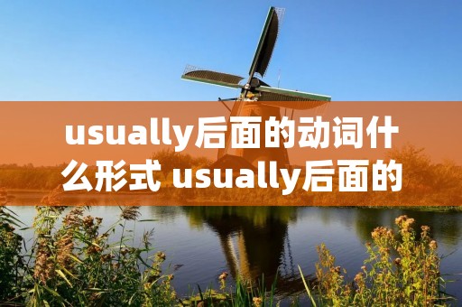 usually后面的动词什么形式 usually后面的动词用什么形式