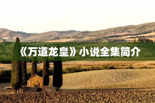 《万道龙皇》小说全集简介