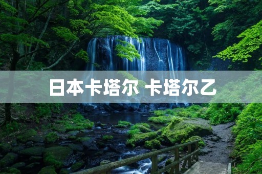 日本卡塔尔 卡塔尔乙