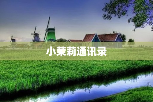 小茉莉通讯录：打造高效便捷的联系方式管理工具