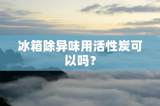 冰箱除异味用活性炭可以吗？