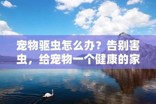 宠物驱虫怎么办？告别害虫，给宠物一个健康的家园