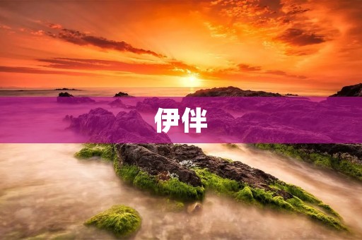 伊伴:打造你的完美旅行伴侣 伊伴:打造你的完美旅行伴侣
