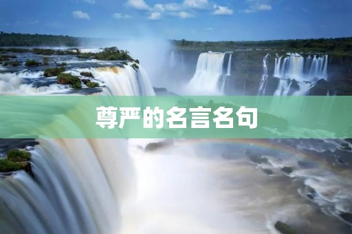 尊严的名言名句 尊严的名言名句