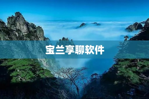 宝兰享聊软件:连接心灵的桥梁 宝兰享聊软件:连接心灵的桥梁