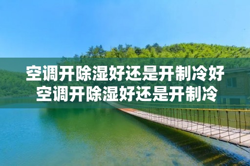 空调开除湿好还是开制冷好 空调开除湿好还是开制冷好一点