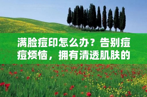 满脸痘印怎么办？告别痘痘烦恼，拥有清透肌肤的秘诀！