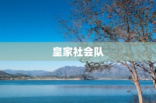 皇家社会队:西班牙足坛的传奇之师 皇家社会队:西班牙足坛的传奇之师