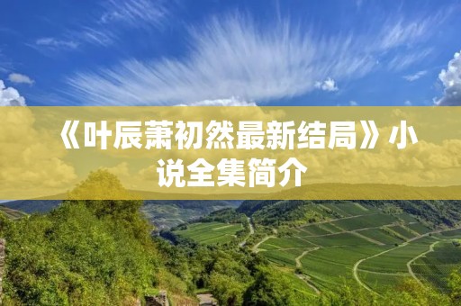 《叶辰萧初然最新结局》小说全集简介