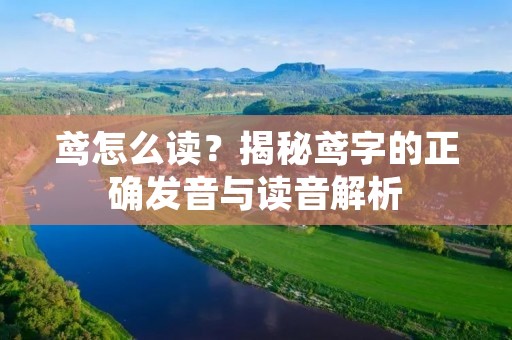 鸢怎么读?揭秘鸢字的正确发音与读音解析 鸢怎么读?揭秘鸢字的正确发音与读音解析