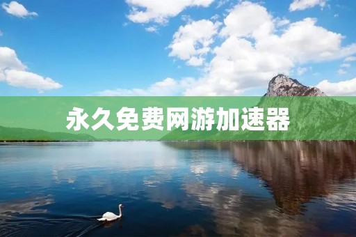 永久免费网游加速器：让你畅快战斗的利器