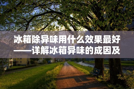 冰箱除异味用什么效果最好——详解冰箱异味的成因及有效除味方法