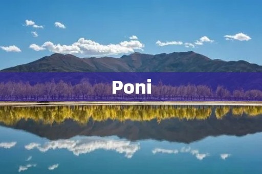 Poni:一款令人着迷的亲子互动游戏 Poni:一款令人着迷的亲子互动游戏