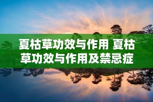 夏枯草功效与作用 夏枯草功效与作用及禁忌症