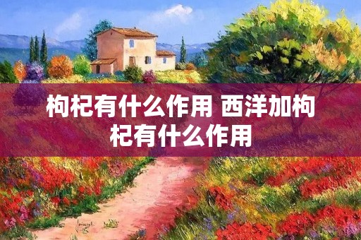 枸杞有什么作用 西洋加枸杞有什么作用