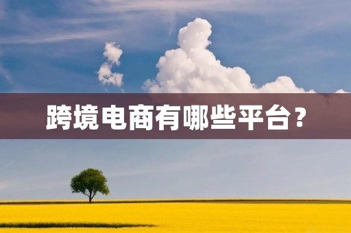 跨境电商有哪些平台？