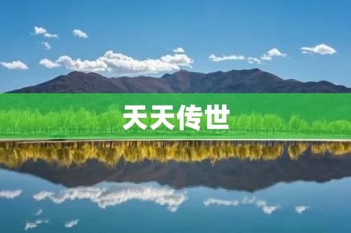天天传世:探寻最真实的游戏世界