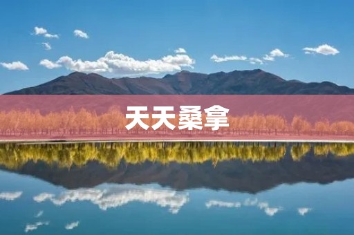 天天桑拿:享受健康与放松的绝佳选择