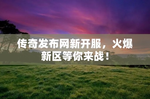 传奇发布网新开服,火爆新区等你来战!