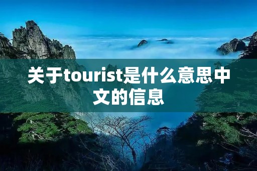 关于tourist是什么意思中文的信息