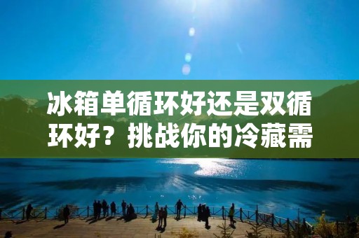 冰箱单循环好还是双循环好？挑战你的冷藏需求！