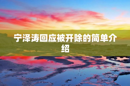 宁泽涛回应被开除的简单介绍