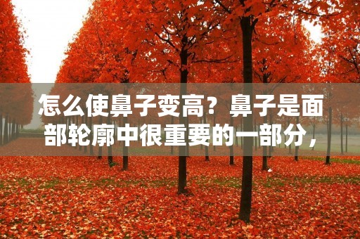怎么使鼻子变高？鼻子是面部轮廓中很重要的一部分，它的形状和高低直接影响着整个面容的美感。许多人希望能够拥有高挺的鼻子，因此寻找各种方法来实现这个愿望。本文将为您详细介绍一些有效的方法，帮助您使鼻子变高。
