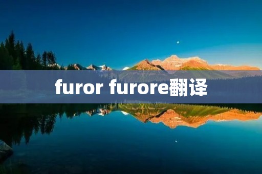 furor furore翻译