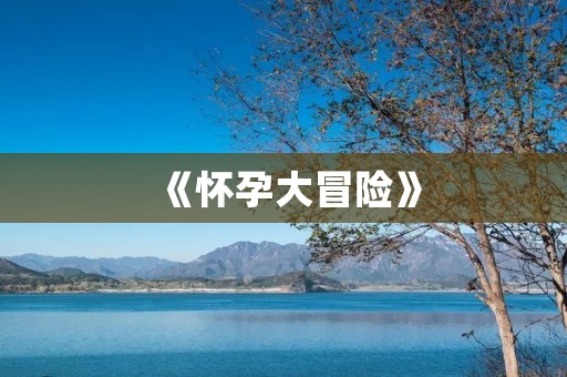 《怀孕大冒险》:一个能让你在RPG游戏中体验怀孕的游戏!
