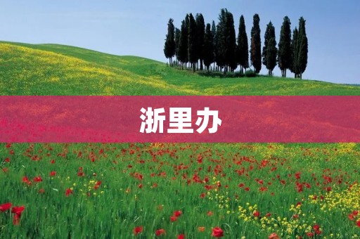浙里办：让政务服务更加高效便捷