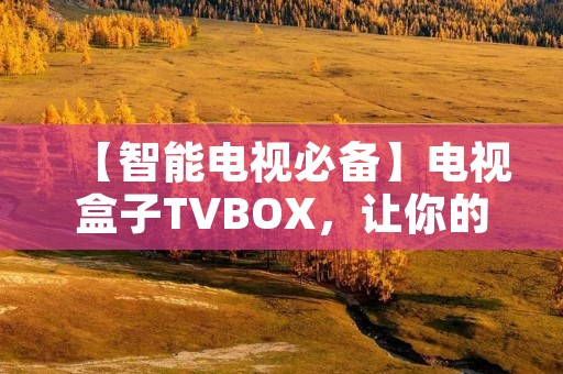 【智能电视必备】电视盒子TVBOX，让你的电视观看更多元化