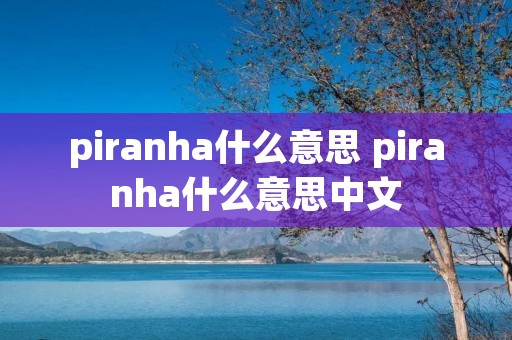 piranha什么意思 piranha什么意思中文