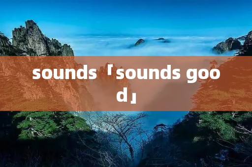 sounds「sounds good」